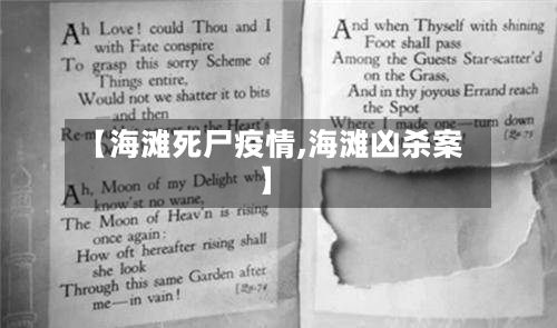 【海滩死尸疫情,海滩凶杀案】-第2张图片