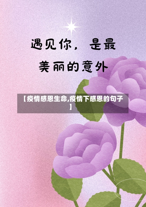 【疫情感恩生命,疫情下感恩的句子】