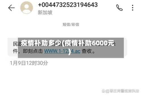 疫情补助多少(疫情补助6000元)