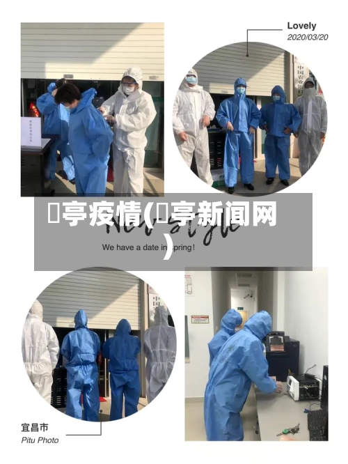 猇亭疫情(猇亭新闻网)