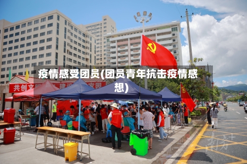 疫情感受团员(团员青年抗击疫情感想)-第2张图片