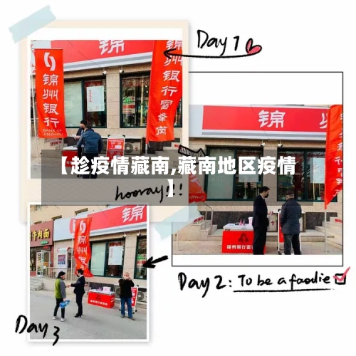 【趁疫情藏南,藏南地区疫情】-第2张图片