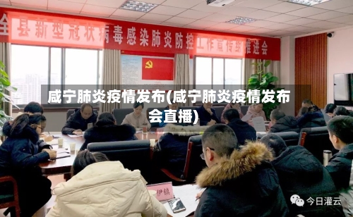 咸宁肺炎疫情发布(咸宁肺炎疫情发布会直播)