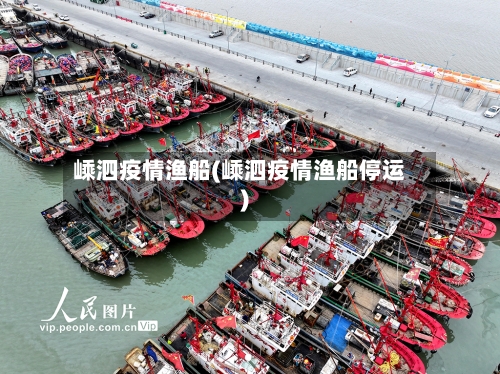 嵊泗疫情渔船(嵊泗疫情渔船停运)