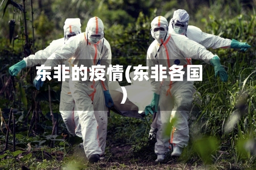 东非的疫情(东非各国)-第2张图片