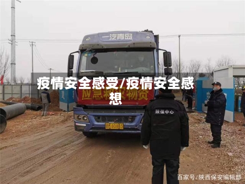 疫情安全感受/疫情安全感想