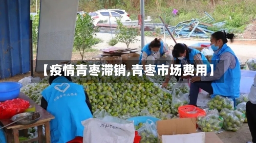 【疫情青枣滞销,青枣市场费用】