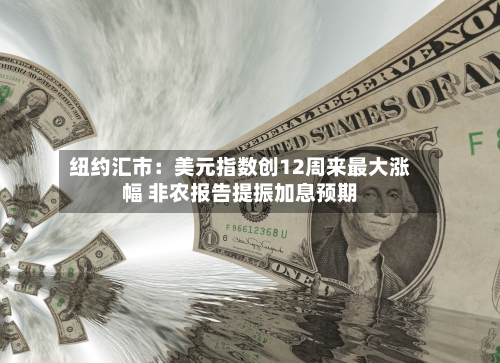 纽约汇市:美元指数创12周来最大涨幅 非农报告提振加息预期-第2张图片