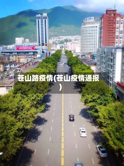 苍山路疫情(苍山疫情通报)