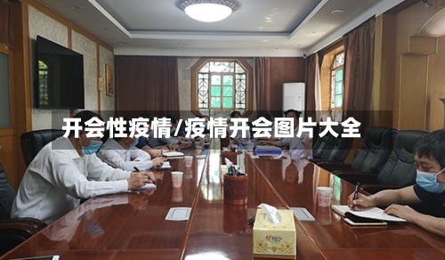 开会性疫情/疫情开会图片大全-第3张图片