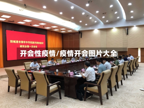 开会性疫情/疫情开会图片大全
