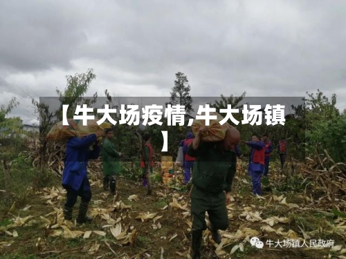 【牛大场疫情,牛大场镇】