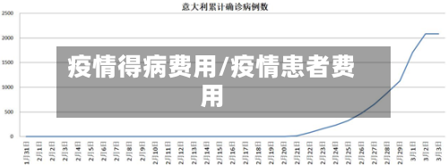 疫情得病费用/疫情患者费用