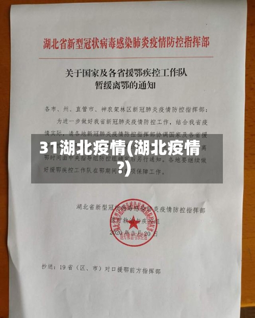 31湖北疫情(湖北疫情?)