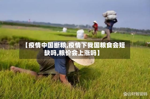 【疫情中国断粮,疫情下我国粮食会短缺吗,粮价会上涨吗】-第2张图片
