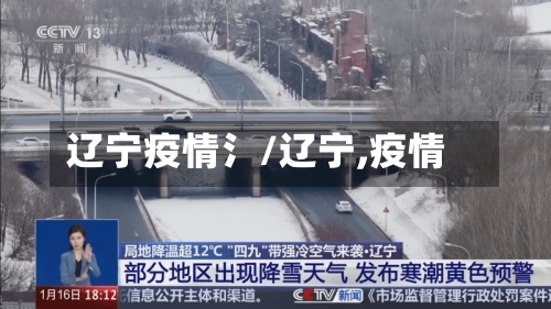 辽宁疫情氵/辽宁,疫情