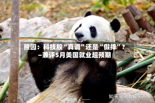 熊园:科技股“真调”还是“假摔”?—兼评5月美国就业超预期