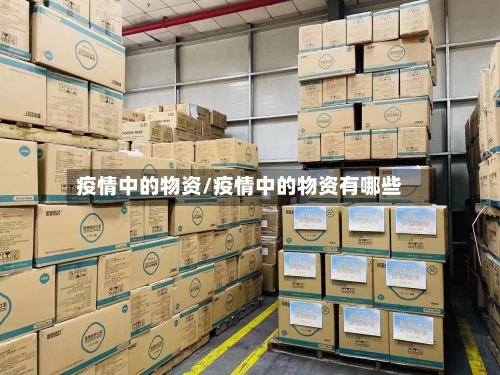 疫情中的物资/疫情中的物资有哪些