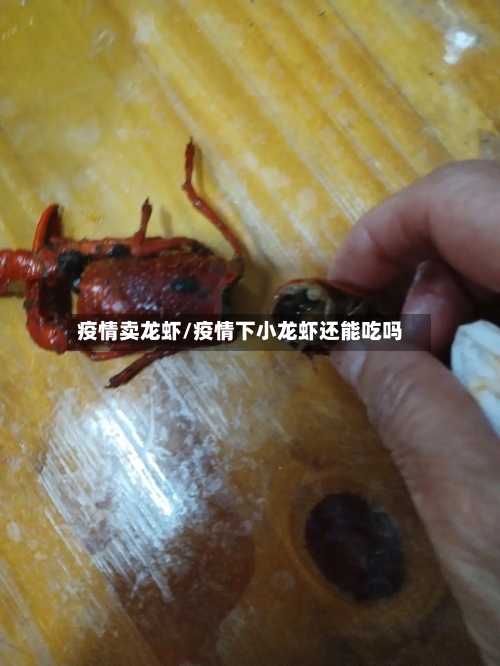 疫情卖龙虾/疫情下小龙虾还能吃吗-第3张图片